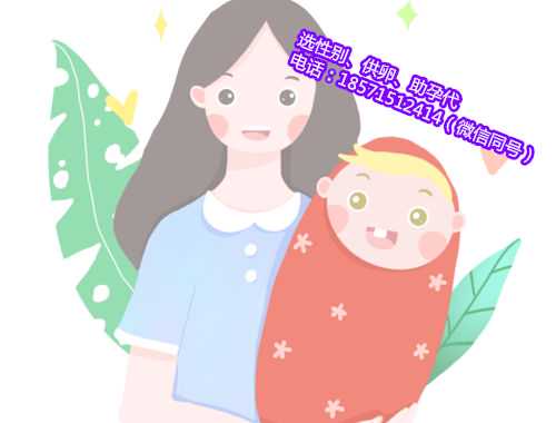 南京包生代孕,全国政协委员建议以家庭为单位发生育补贴