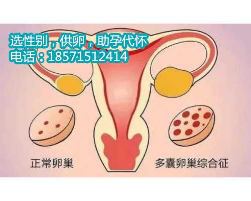 武汉有私人做助孕的没,单身男性可以做试管婴儿吗