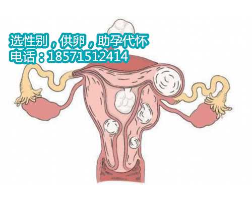 武汉试管代怀私人医院,正常夫妻可以选择人工受孕吗